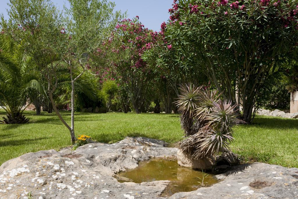 Agroturismo Can Patro Guest House Manacor  Bagian luar foto