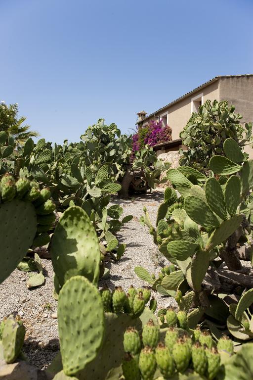 Agroturismo Can Patro Guest House Manacor  Bagian luar foto