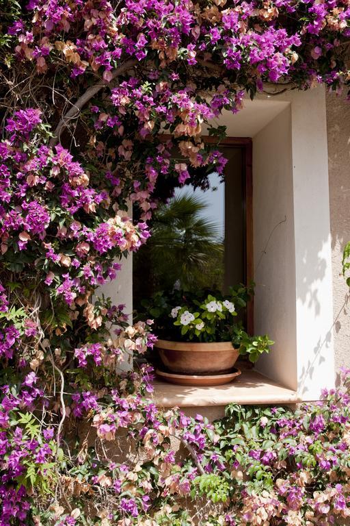 Agroturismo Can Patro Guest House Manacor  Bagian luar foto