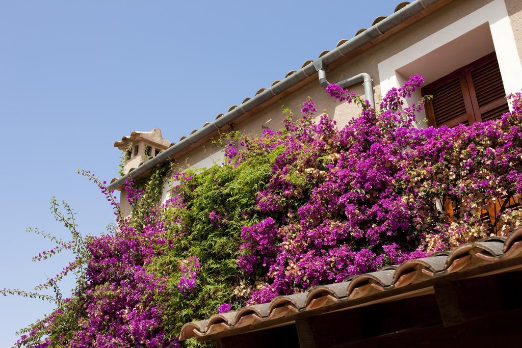 Agroturismo Can Patro Guest House Manacor  Bagian luar foto